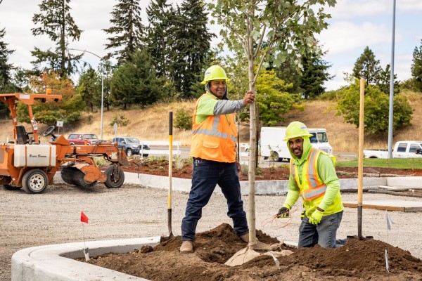 Planting - Islands EarthTech crew planting island trees
