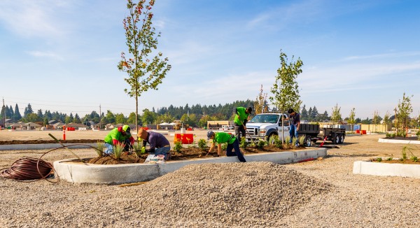 Planting - Islands EarthTech crew planting in small islands