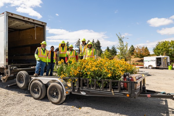Unloading Plants Crew unloading plants for islands
