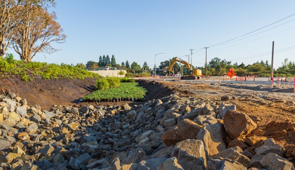 Planting - Staging Planting staging plants