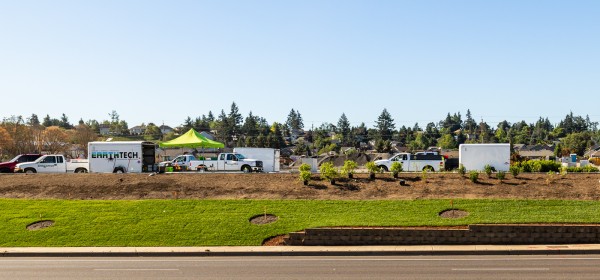Sod Complete Finished sod and adding plants