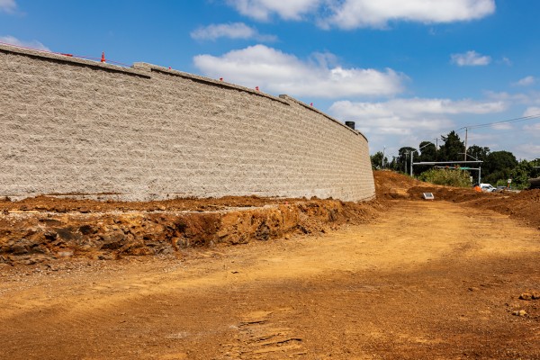 Entrance Wall Needs Plants Large entrance wall