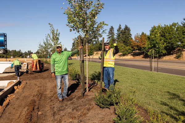 Planting Posing by planted tree